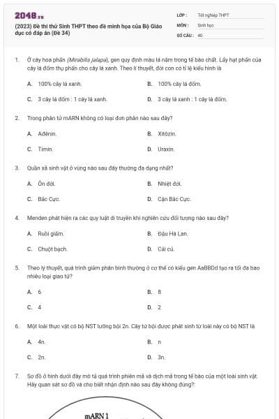 (2023) Đề thi thử Sinh THPT theo đề minh họa của Bộ Giáo dục có đáp án (Đề 34)