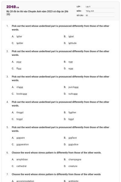 Bộ 20 đề ôn thi vào Chuyên Anh năm 2023 có đáp án (Đề 20)