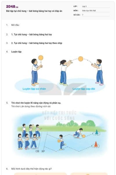 Bài tập tại chỗ tung – bắt bóng bằng hai tay có đáp án