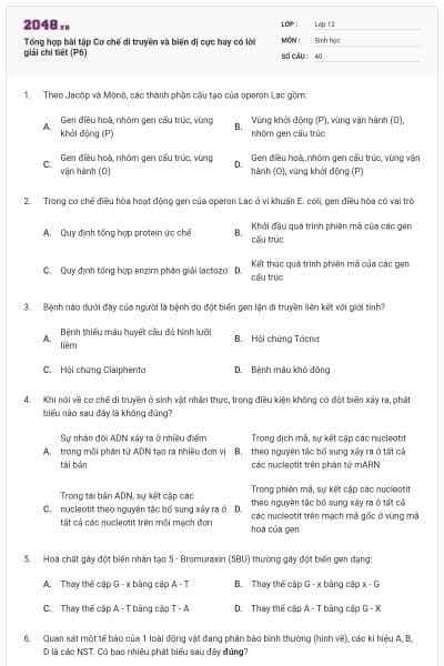 Tổng hợp bài tập Cơ chế di truyền và biến dị cực hay có lời giải chi tiết (P6)