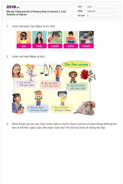 Bài tập Tiếng anh lớp 3 Fluency time 3 Lession 2. CLIL Science có đáp án