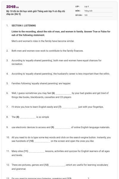 Bộ 10 đề ôn thi học sinh giỏi Tiếng anh lớp 9 có đầy đủ đáp án (Đề 5)