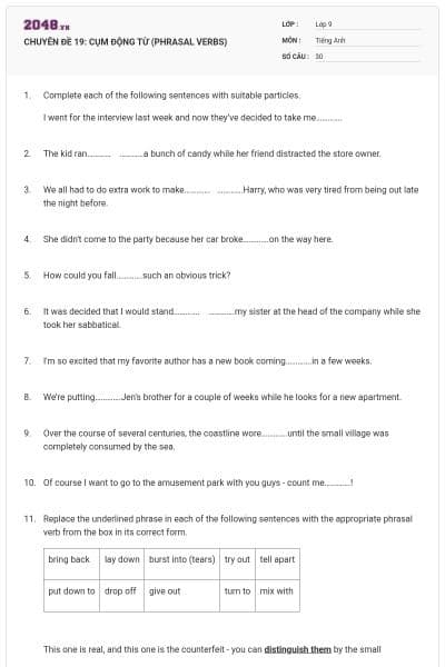 CHUYÊN ĐỀ 19: CỤM ĐỘNG TỪ (PHRASAL VERBS)