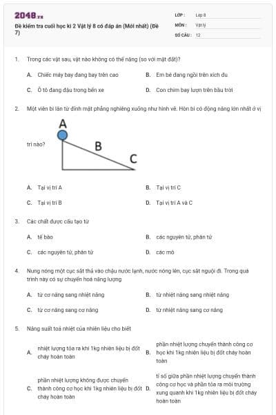 Đề kiểm tra cuối học kì 2 Vật lý 8 có đáp án (Mới nhất) (Đề 7)