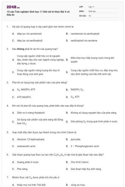 15 câu Trắc nghiệm Sinh học 11 Kết nối tri thức Bài 4 có đáp án