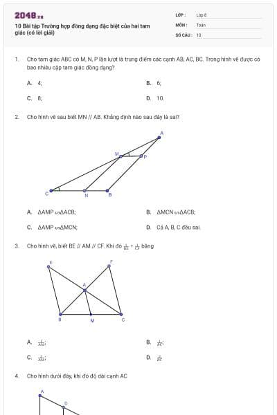 10 Bài tập Trường hợp đồng dạng đặc biệt của hai tam giác (có lời giải)