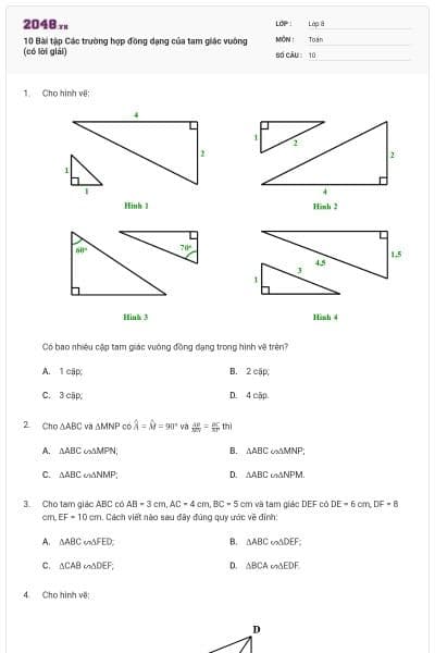 10 Bài tập Các trường hợp đồng dạng của tam giác vuông (có lời giải)