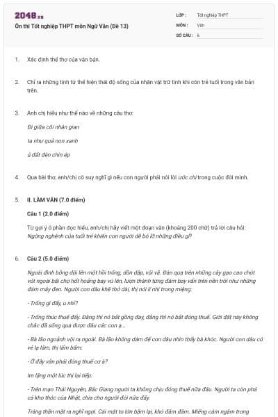 Ôn thi Tốt nghiệp THPT môn Ngữ Văn (Đề 13)