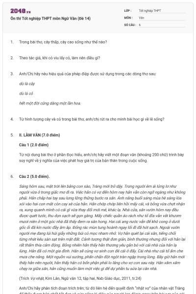 Ôn thi Tốt nghiệp THPT môn Ngữ Văn (Đề 14)