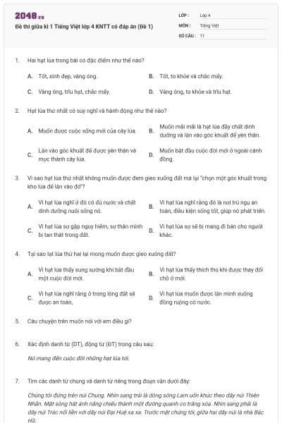 Đề thi giữa kì 1 Tiếng Việt lớp 4 KNTT có đáp án (Đề 1)