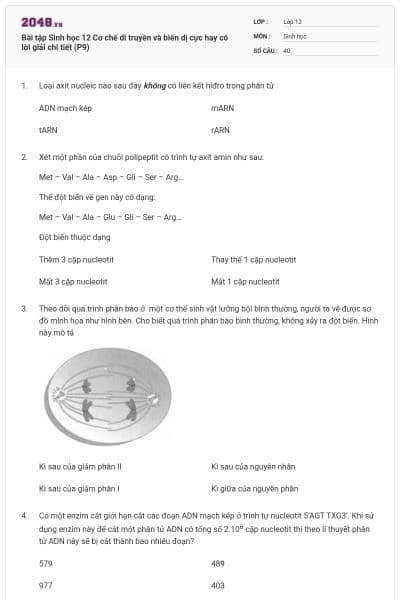 Bài tập Sinh học 12 Cơ chế di truyền và biến dị cực hay có lời giải chi tiết (P9)