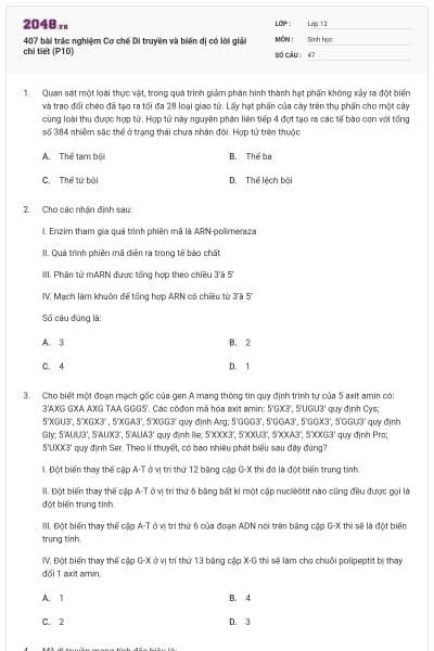 407 bài trắc nghiệm Cơ chế Di truyền và biến dị có lời giải chi tiết (P10)