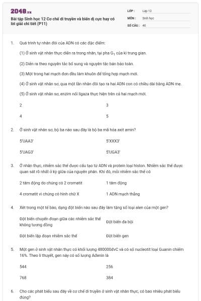 Bài tập Sinh học 12 Cơ chế di truyền và biến dị cực hay có lời giải chi tiết (P11)