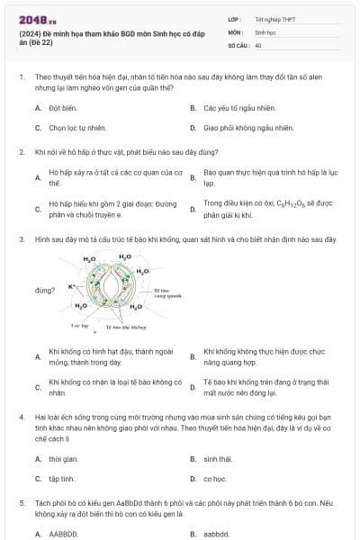 (2024) Đề minh họa tham khảo BGD môn Sinh học có đáp án (Đề 22)