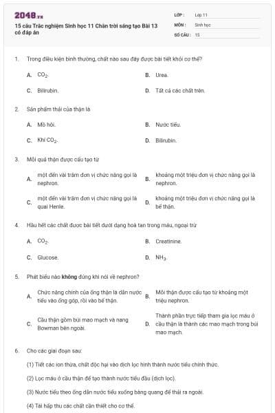 15 câu Trắc nghiệm Sinh học 11 Chân trời sáng tạo Bài 13 có đáp án