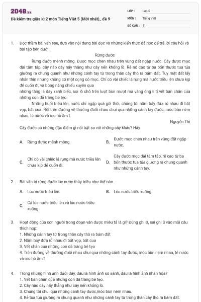 Đề kiểm tra giữa kì 2 môn Tiếng Việt 5 (Mới nhất)_ đề 9