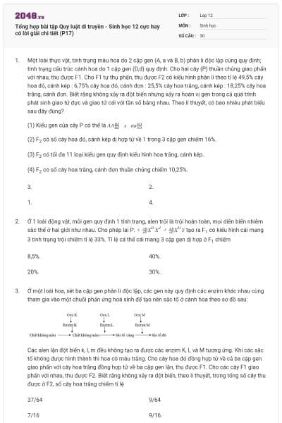 Tổng hợp bài tập Quy luật di truyền - Sinh học 12 cực hay có lời giải chi tiết (P17)