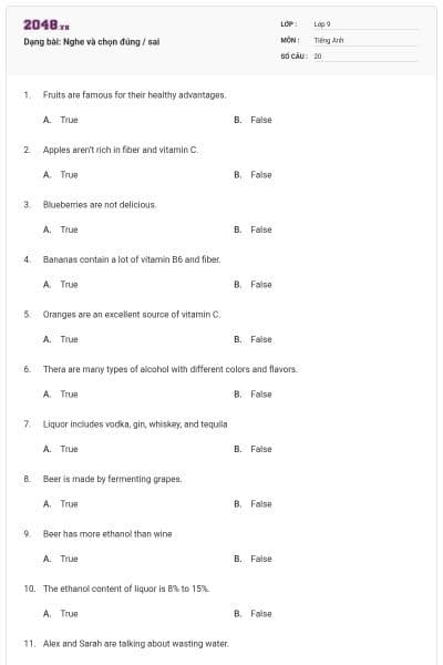 Dạng bài: Nghe và chọn đúng / sai