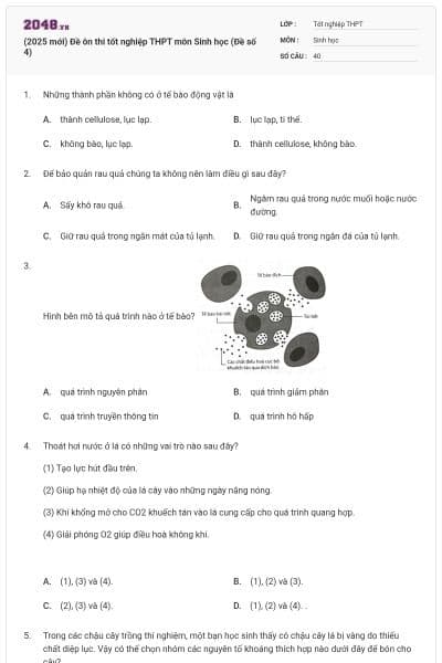 (2025 mới) Đề ôn thi tốt nghiệp THPT môn Sinh học (Đề số 4)