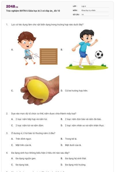 Trắc nghiệm KHTN 6 Giữa học kì 2 có đáp án_ đề 10