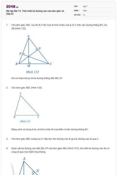 Bài tập Bài 13. Tính chất ba đường cao của tam giác có đáp án