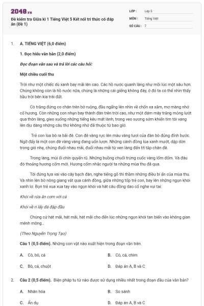 Đề kiểm tra Giữa kì 1 Tiếng Việt 5 Kết nối tri thức có đáp án (Đề 1)