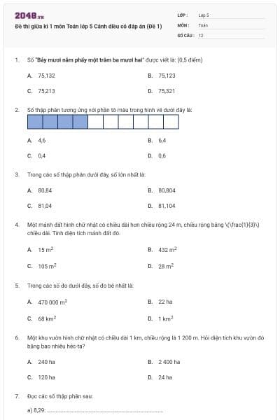 Đề thi giữa kì 1 môn Toán lớp 5 Cánh diều có đáp án (Đề 1)