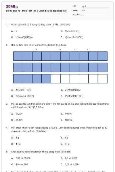 Đề thi giữa kì 1 môn Toán lớp 5 Cánh diều có đáp án (Đề 2)