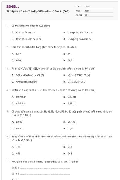 Đề thi giữa kì 1 môn Toán lớp 5 Cánh diều có đáp án (Đề 3)