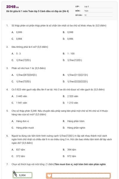 Đề thi giữa kì 1 môn Toán lớp 5 Cánh diều có đáp án (Đề 4)