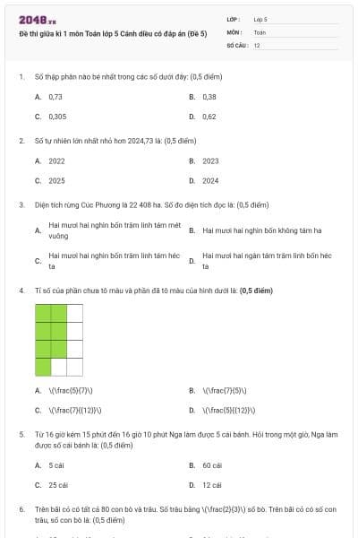 Đề thi giữa kì 1 môn Toán lớp 5 Cánh diều có đáp án (Đề 5)