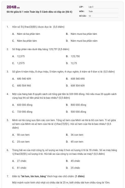 Đề thi giữa kì 1 môn Toán lớp 5 Cánh diều có đáp án (Đề 6)