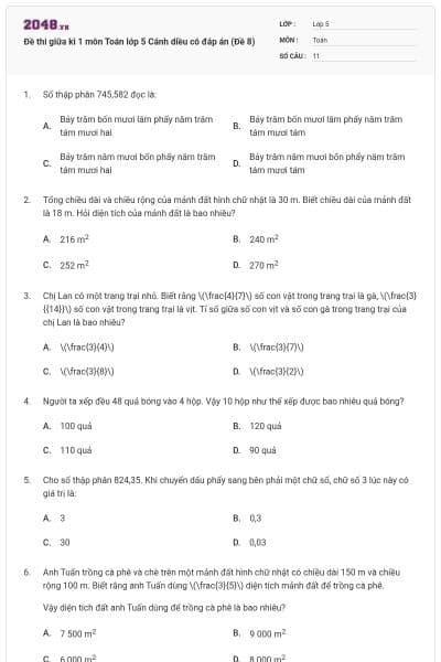 Đề thi giữa kì 1 môn Toán lớp 5 Cánh diều có đáp án (Đề 8)
