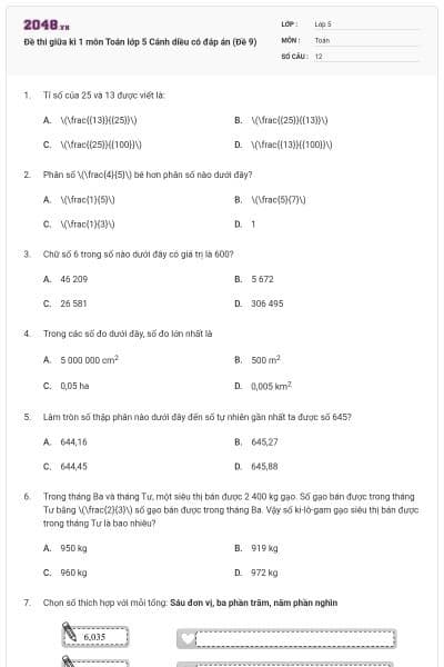 Đề thi giữa kì 1 môn Toán lớp 5 Cánh diều có đáp án (Đề 9)