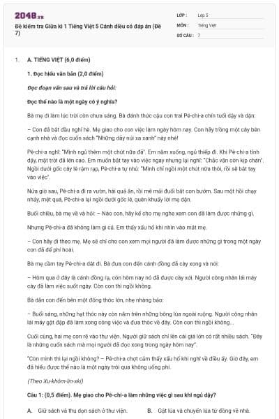 Đề kiểm tra Giữa kì 1 Tiếng Việt 5 Cánh diều có đáp án (Đề 7)