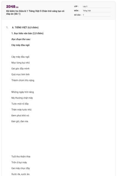 Đề kiểm tra Giữa kì 1 Tiếng Việt 5 Chân trời sáng tạo có đáp án (Đề 1)