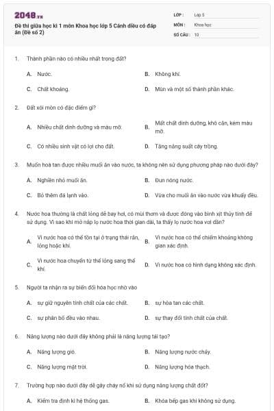 Đề thi giữa học kì 1 môn Khoa học lớp 5 Cánh diều có đáp án (Đề số 2)