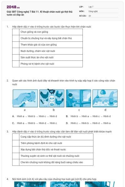 Giải SBT Công nghệ 7 Bài 11. Kĩ thuật chăn nuôi gà thịt thả vườn có đáp án