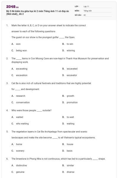 Bộ 5 Đề kiểm tra giữa học kì 2 môn Tiếng Anh 11 có đáp án (Mới nhất)_ đề 2
