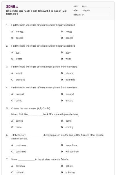 Đề kiểm tra giữa học kì 2 môn Tiếng Anh 8 có đáp án (Mới nhất)_ đề 6