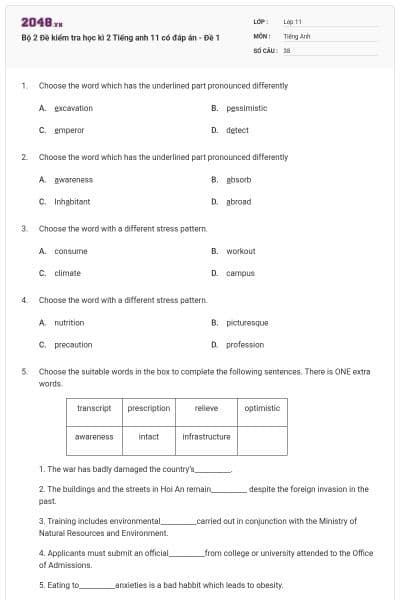 Bộ 2 Đề kiểm tra học kì 2 Tiếng anh 11 có đáp án - Đề 1