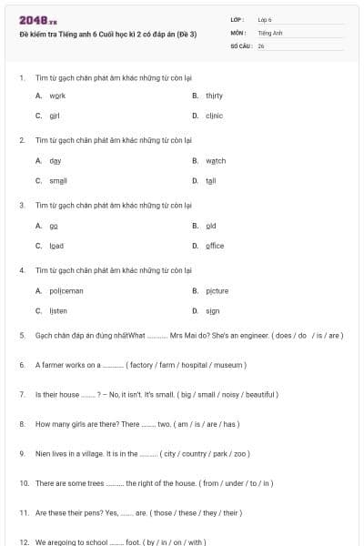 Đề kiểm tra Tiếng anh 6 Cuối học kì 2 có đáp án (Đề 3)