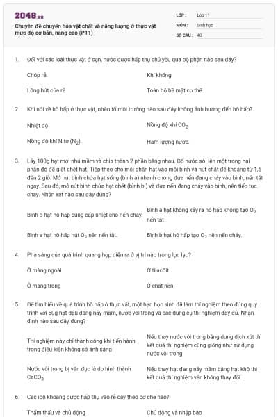 Chuyên đề chuyển hóa vật chất và năng lượng ở thực vật mức độ cơ bản, nâng cao (P11)