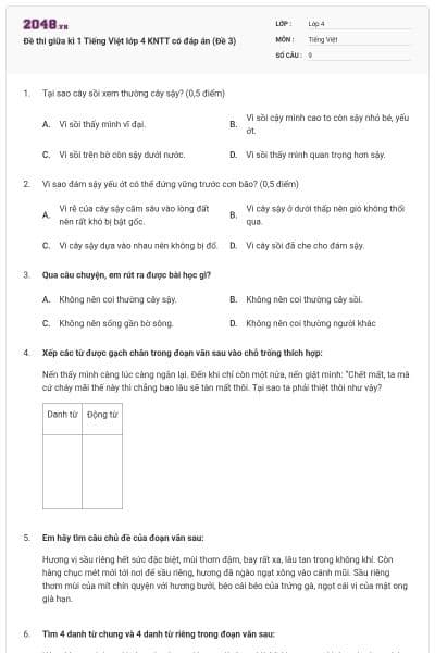 Đề thi giữa kì 1 Tiếng Việt lớp 4 KNTT có đáp án (Đề 3)