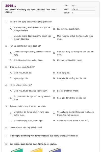 Bài tập cuối tuần Tiếng Việt lớp 5 Cánh diều Tuần 10 có đáp án