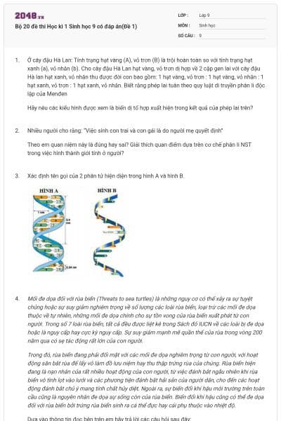 Bộ 20 đề thi Học kì 1 Sinh học 9 có đáp án(Đề 1)