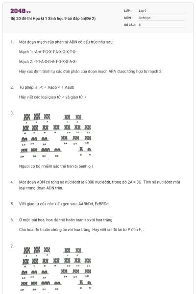 Bộ 20 đề thi Học kì 1 Sinh học 9 có đáp án(Đề 2)
