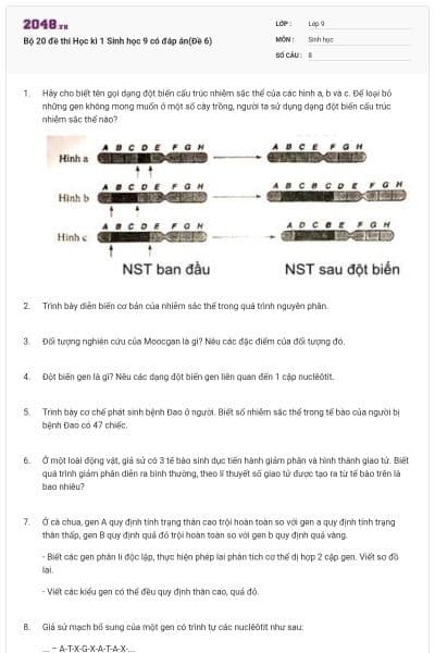Bộ 20 đề thi Học kì 1 Sinh học 9 có đáp án(Đề 6)