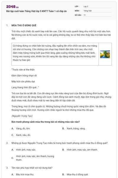 Bài tập cuối tuần Tiếng Việt lớp 5 KNTT Tuần 1 có đáp án