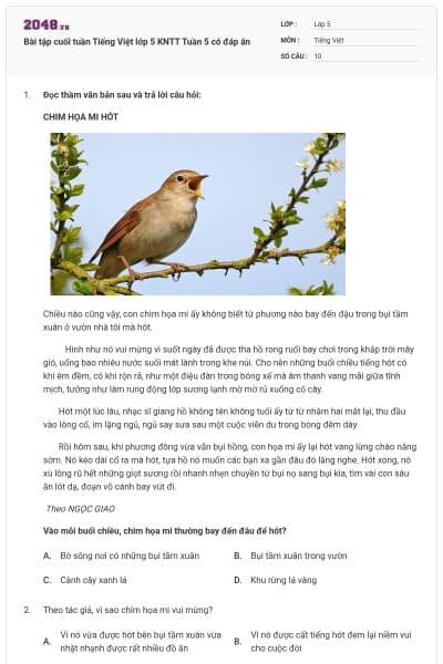 Bài tập cuối tuần Tiếng Việt lớp 5 KNTT Tuần 5 có đáp án